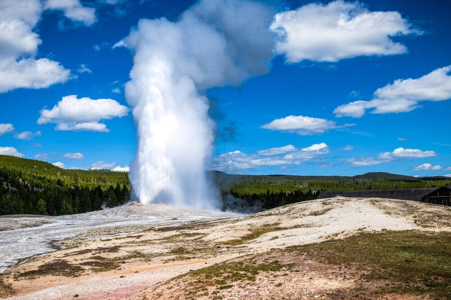 The Best Yellowstone Gifts to Remember the Trip