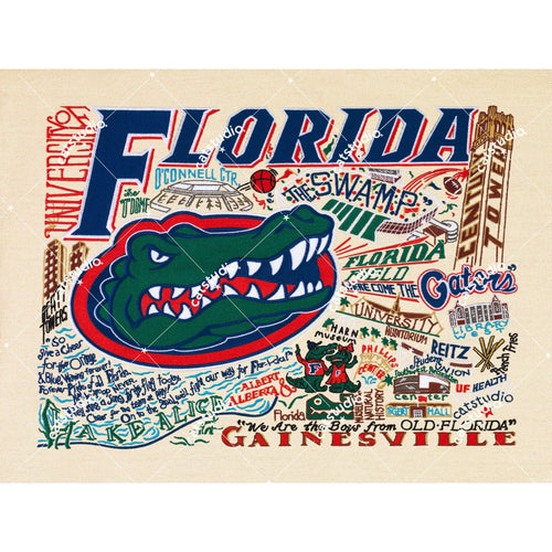 Florida, University of Collegiate Fine Art Print Art Print catstudio 