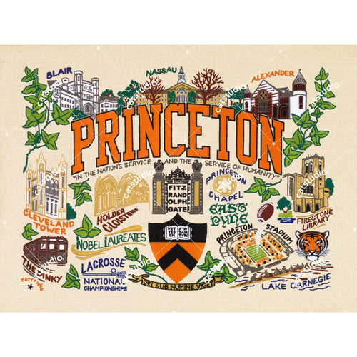 Princeton University Collegiate Fine Art Print Art Print catstudio 